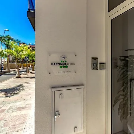 아파트 Luxury Penthouse Sea View, Cristianos *