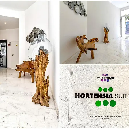 Appartamento Luxury Penthouse Sea View Hortensia Apartments, Cristianos, Tenerife Los Cristianos (Tenerife)